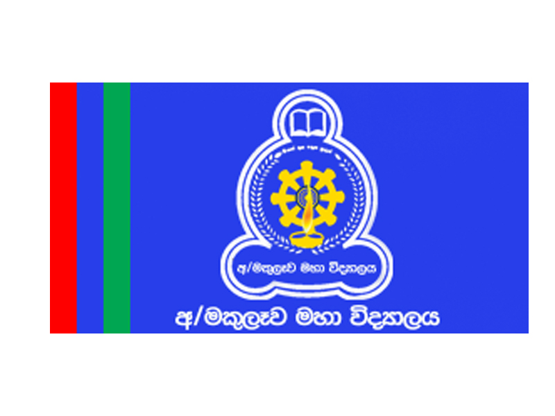 School Logo & Flag